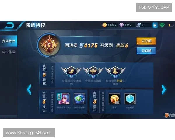 凯发九游会VIP会员制度详解享受专属特权与个性化服务体验